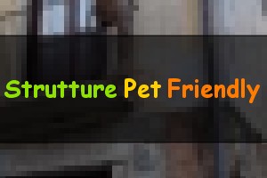 petruda home sharing